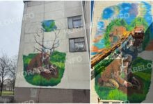 Вадим Сердцев: мурал на стіні ліцею №40