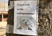 Листівка на Океанівській