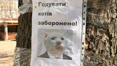 Листівка на Океанівській