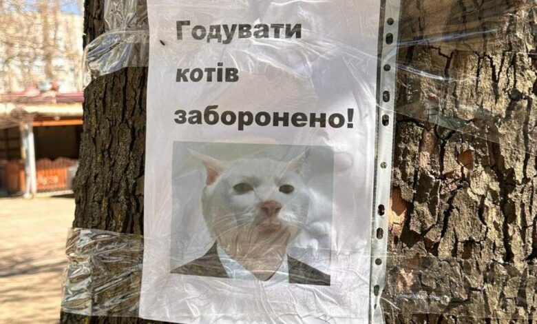 Листівка на Океанівській