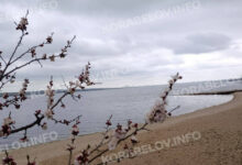 Квітень у Корабельному районі Миколаєва