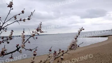 Квітень у Корабельному районі Миколаєва