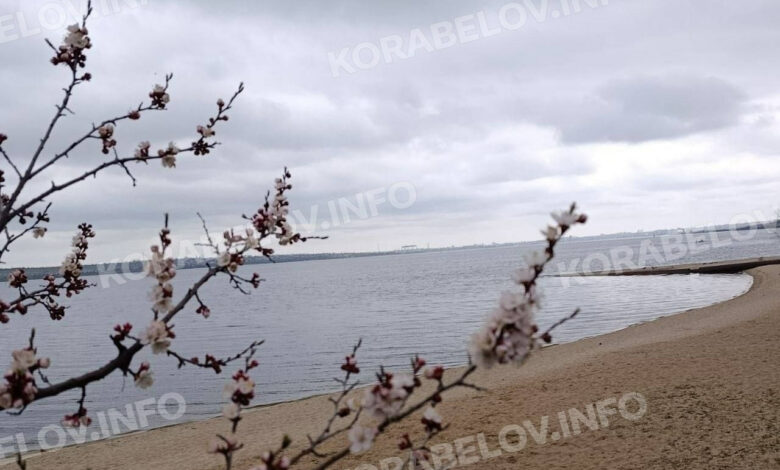 Квітень у Корабельному районі Миколаєва