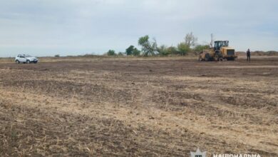 Тут колись був курган...