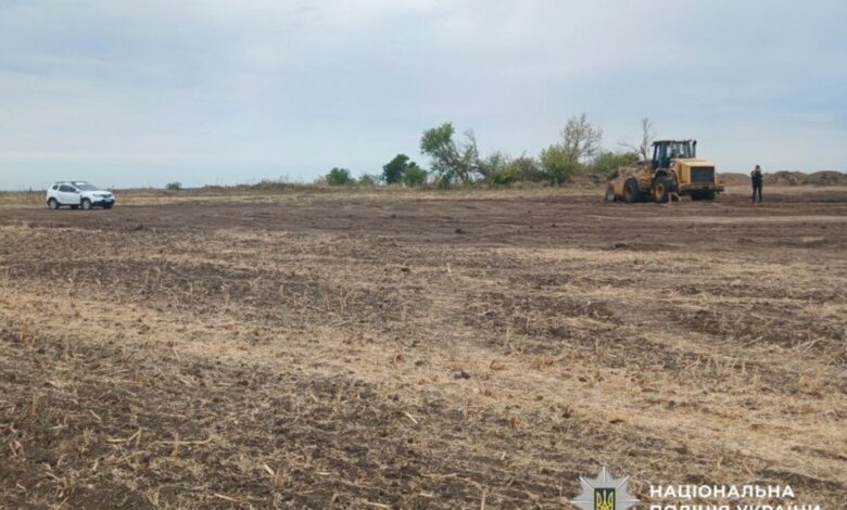 Тут колись був курган...
