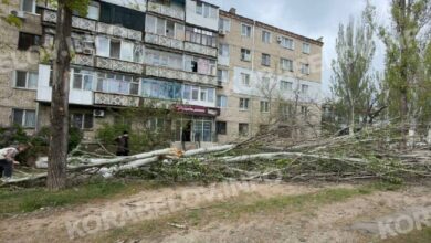 Негода повалила дві тополі на проспекті Корабелів, 7