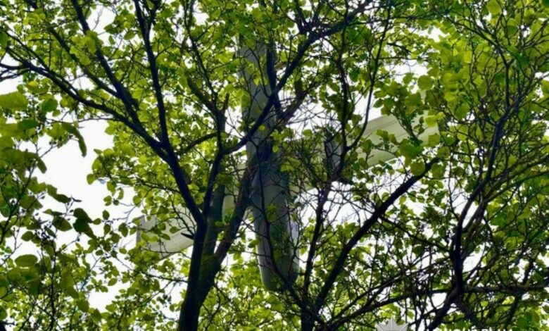 ворожий безпілотник на дереві
