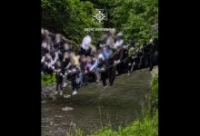 Скріншот відео ДСНС
