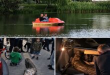 Фото соцмереж