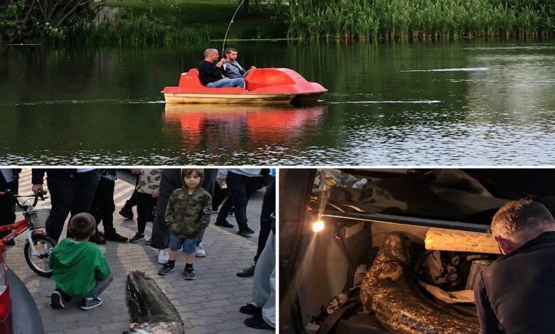 Фото соцмереж