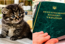 Фото ілюстративне