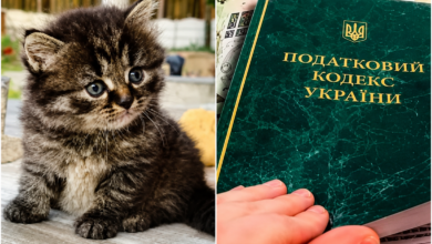 Фото ілюстративне