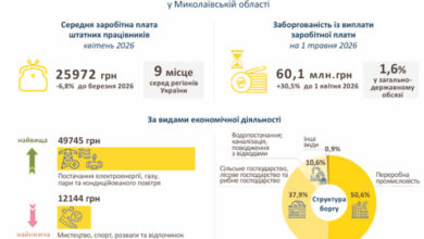 Інфографіка Головного Управління статистики в Миколаївській області.