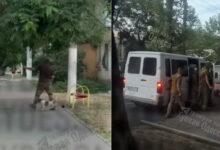В Одесі ТЦК забрали собаку