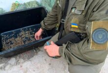 незаконний вилов