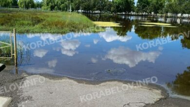 Стадіон "Молодіжний"
