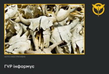 Біологічний тероризм