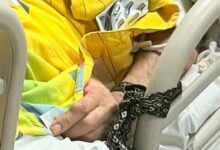 Фото Facebook Тетяни Домбровської