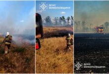 Фото ДСНС Миколаївщини