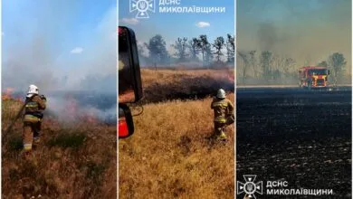 Фото ДСНС Миколаївщини