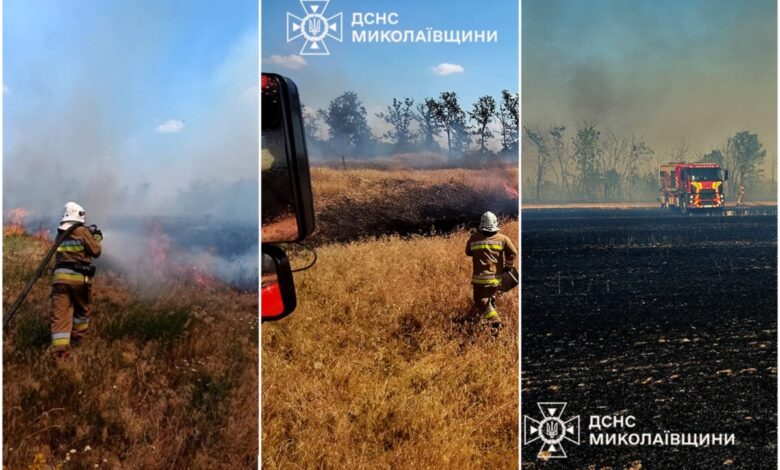 Фото ДСНС Миколаївщини