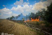 Ліквідація пожежі на Миколаївщині