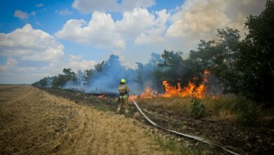 Ліквідація пожежі на Миколаївщині