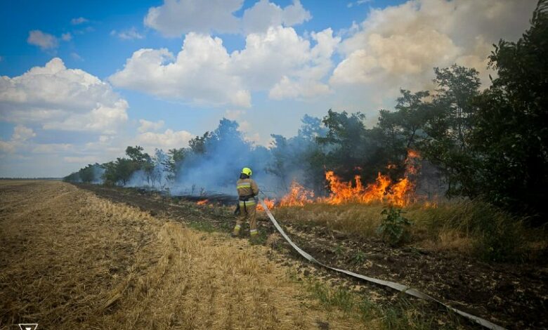 Вогонь охопив понад 19 гектарів: за добу на Миколаївщині спалахнули 28 пожеж