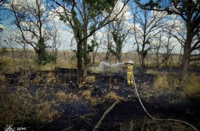 Ліквідація пожежі на Миколаївщині