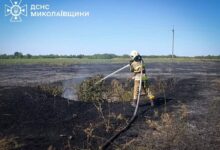 Пожежа на території Миколаївщини
