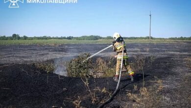 Пожежа на території Миколаївщини