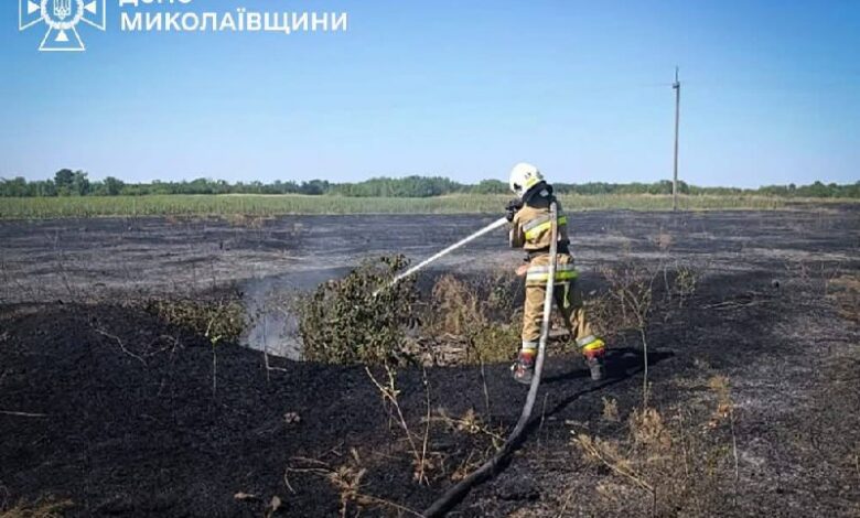 Пожежа на території Миколаївщини