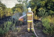 Пожежа на території Миколаївщини