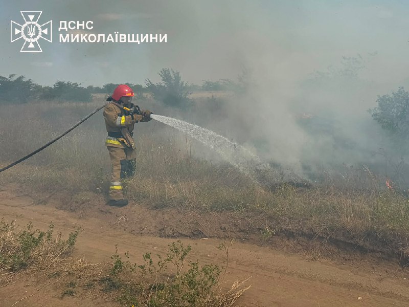 Пожежі, зареєстровані на Миколаївщині 20 липня та в ніч проти 21 липня