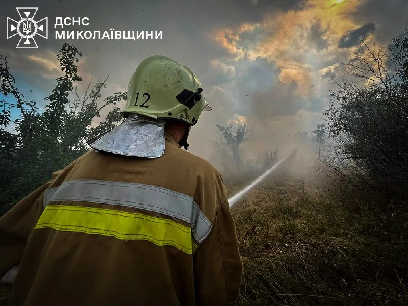 Пожежі, зареєстровані на Миколаївщині 20 липня та в ніч проти 21 липня