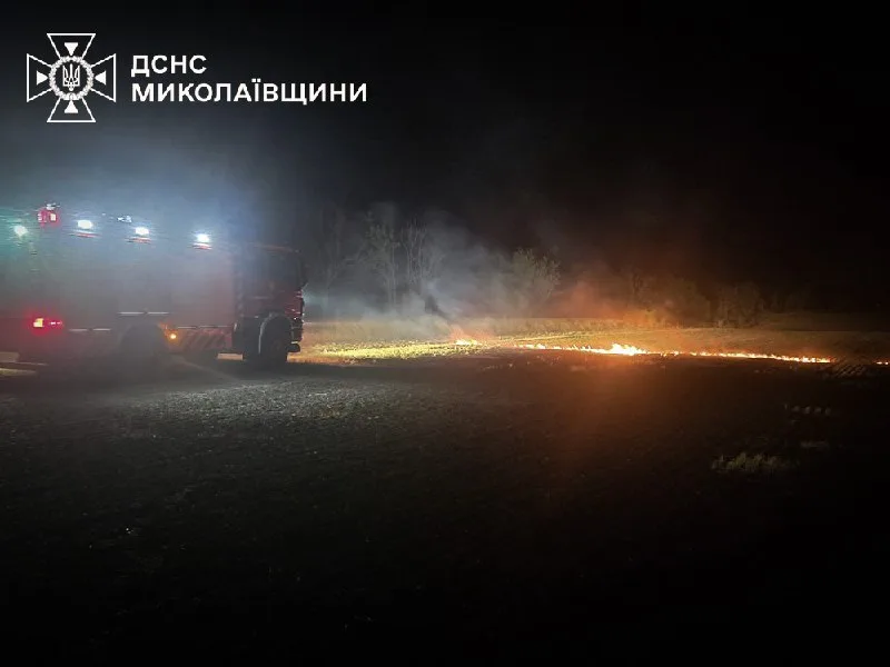 Пожежі, зареєстровані на Миколаївщині 20 липня та в ніч проти 21 липня