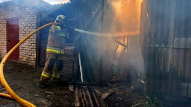 Пожежі на Миколаївщині за добу