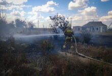 Пожежа в екосистемі на Миколаївщині