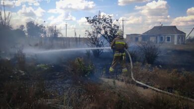 Пожежа в екосистемі на Миколаївщині