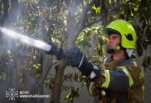 Пожежа дачного будинку в садовому товаристві «Активіст» у Миколаєві