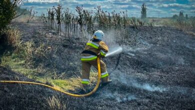 Рятувальники ліквідовують пожежі сухої трави та відкритих територій на Миколаївщині