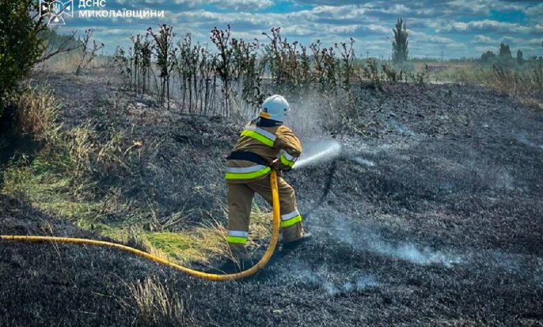Рятувальники ліквідовують пожежі сухої трави та відкритих територій на Миколаївщині