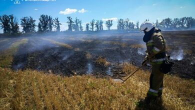 Пожежа сухостою та чагарників біля дачної ділянки на Миколаївщині