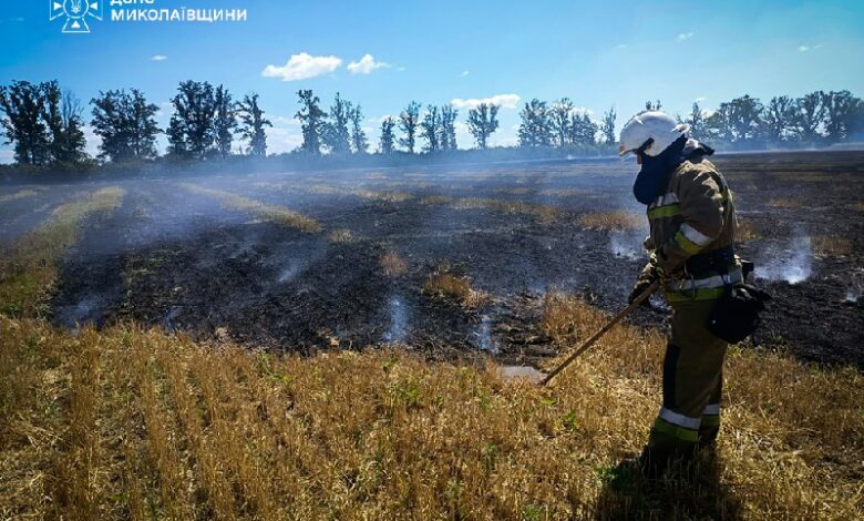 Пожежа сухостою та чагарників біля дачної ділянки на Миколаївщині