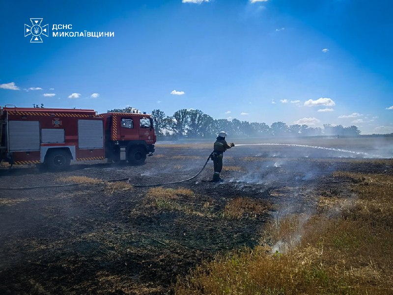 Пожежа сухостою та чагарників біля дачної ділянки на Миколаївщині