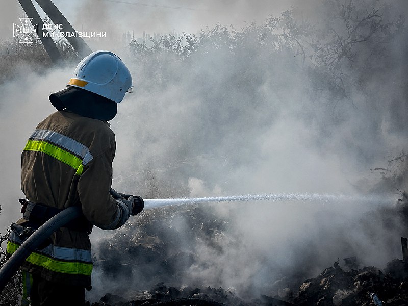 Пожежа сухостою та чагарників біля дачної ділянки на Миколаївщині