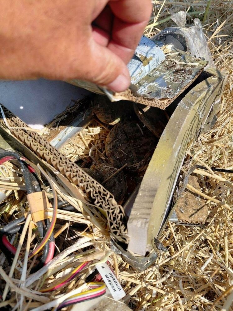 Russian mines "Pryanik" or "Plyushka"