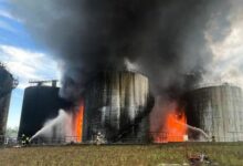 Фото: пресслужба компанії Kernel