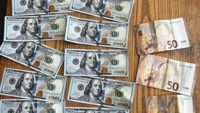 Вилучені долари та євро після крадіжки з квартири на Миколаївщині