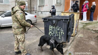 Поліція розшукує причетних до залишення немовляти у контейнері в Миколаєві